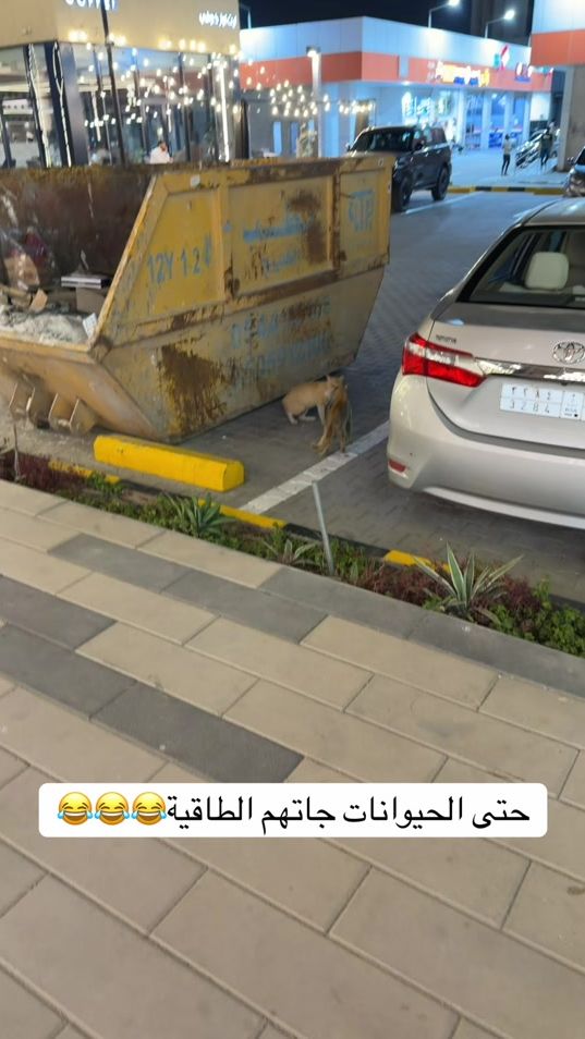 TikTok video thumbnail by haii..18