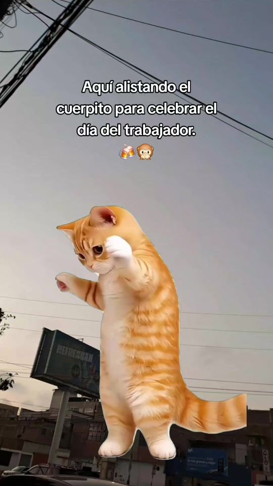 TikTok video thumbnail by denys_rojas