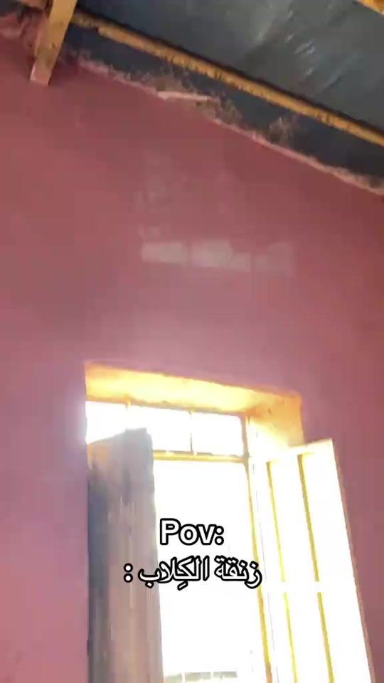 TikTok video thumbnail by jozf.4