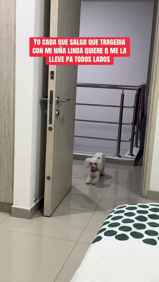 TikTok video thumbnail by tikto.kera_