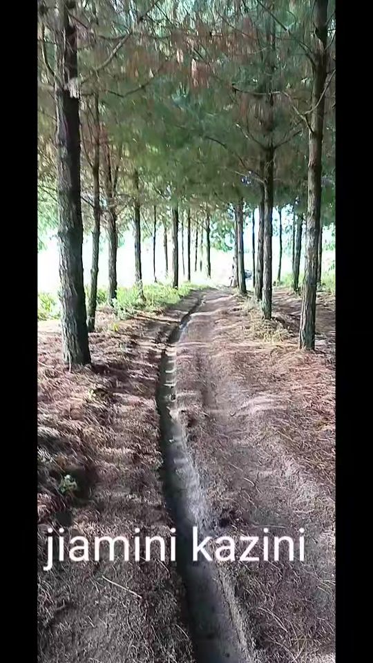 TikTok video thumbnail by agahmwalu1