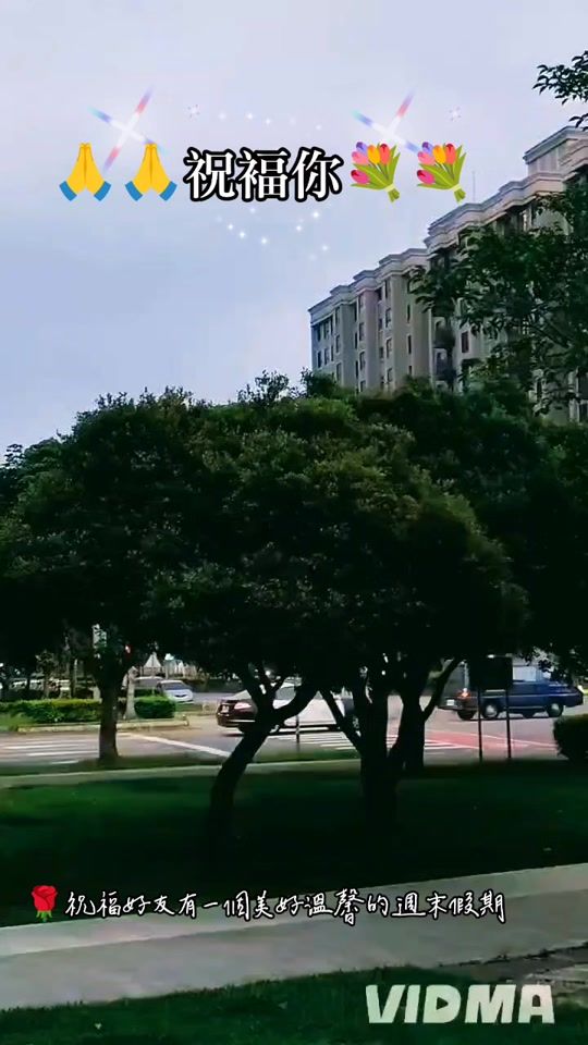 TikTok video thumbnail by user521017652721