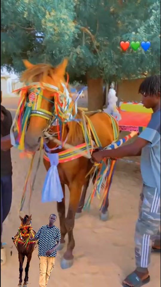 TikTok video thumbnail by boy.bambara2