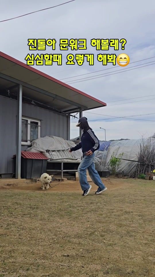 TikTok video thumbnail by dancing_dayeun153