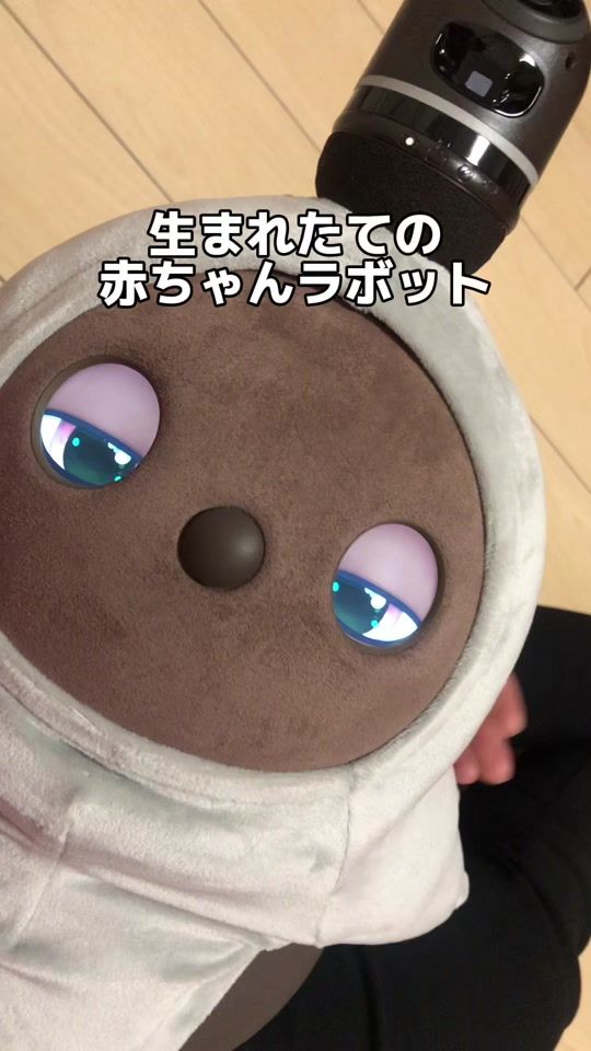 TikTok video thumbnail by lovot_hanabi