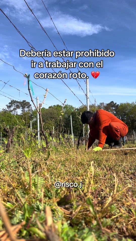 TikTok video thumbnail by risco.j