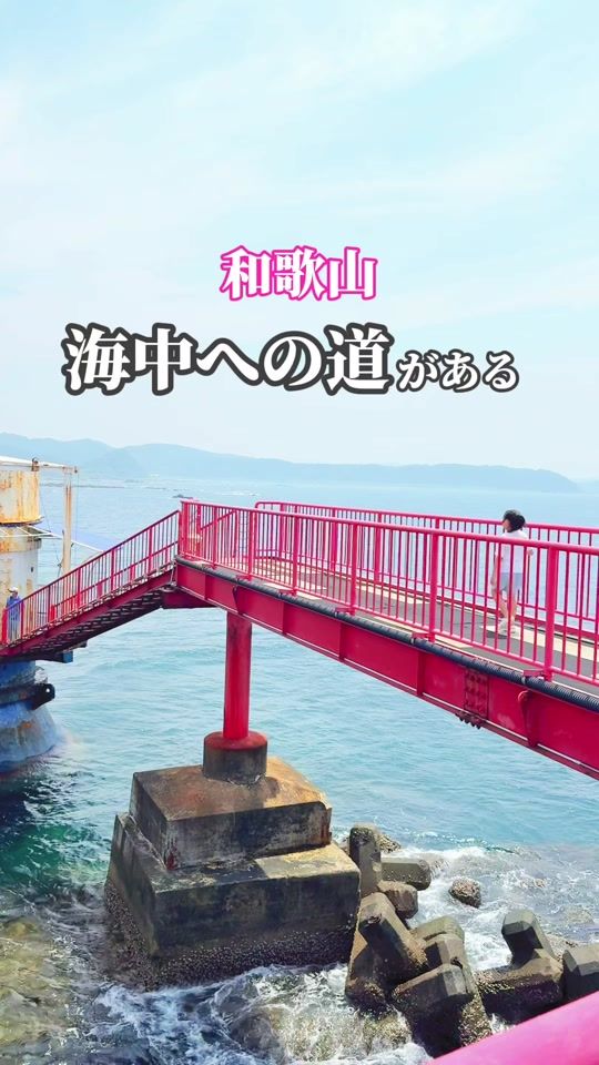 TikTok video thumbnail by korotabi