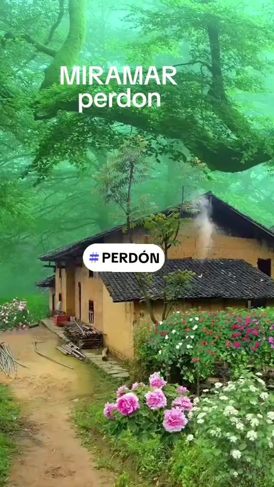 TikTok video thumbnail by santos_leon53