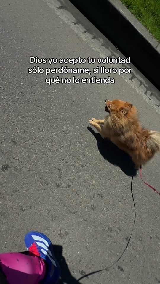 TikTok video thumbnail by kmimoncayo