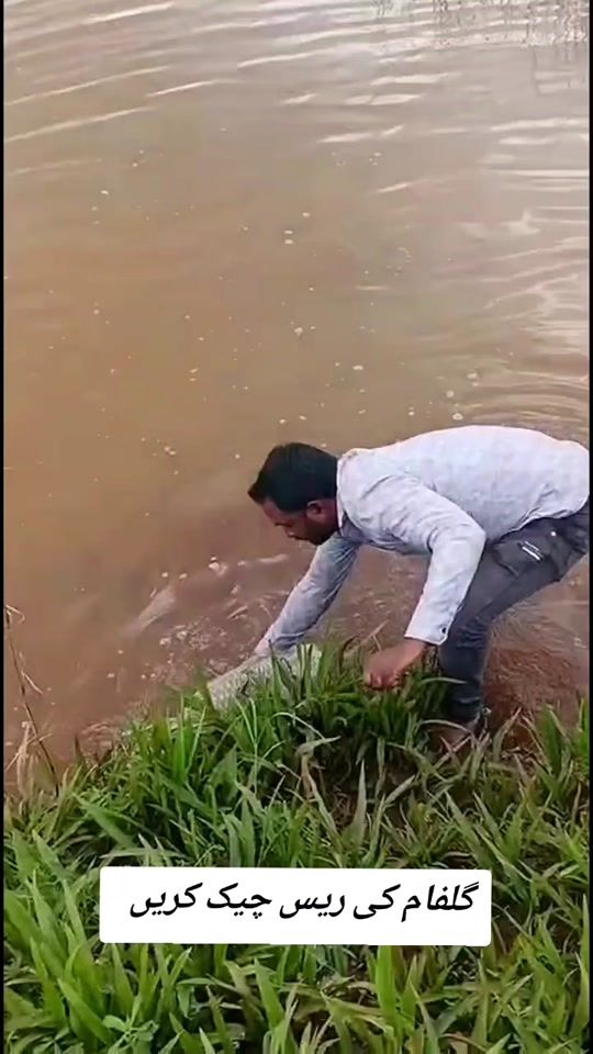 TikTok video thumbnail by muhammad.junaid5160
