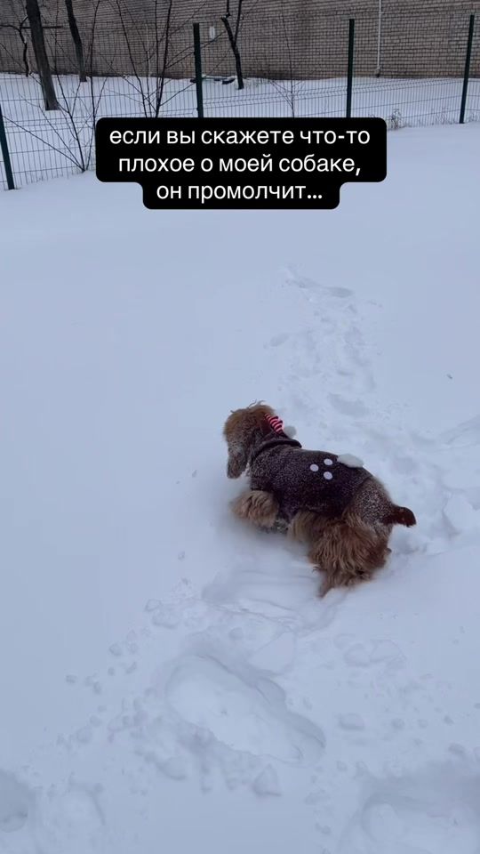 TikTok video thumbnail by ku4uk