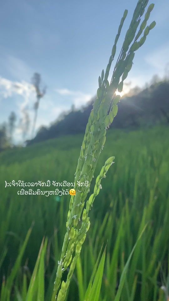 TikTok video thumbnail by fb62441