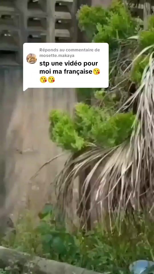 TikTok video thumbnail by flora51780