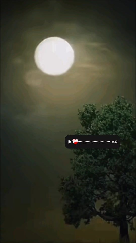 TikTok video thumbnail by user714725444