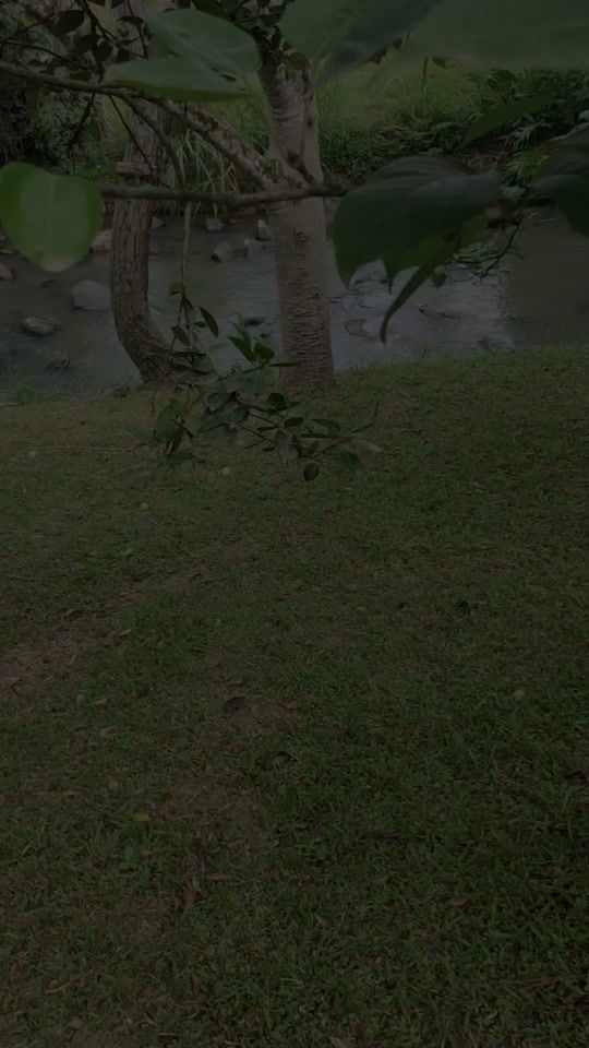 TikTok video thumbnail by jonasmuller13021984