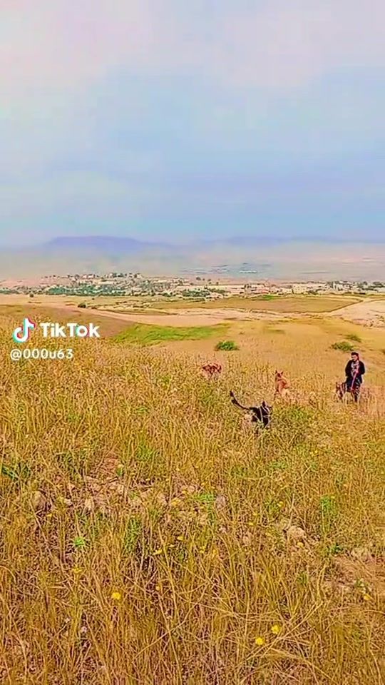 TikTok video thumbnail by 1abogaseer