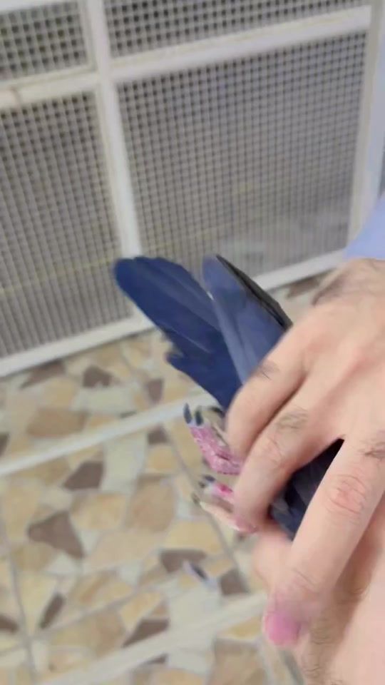 TikTok video thumbnail by nvhcucxj