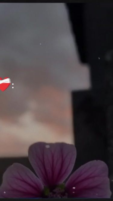 TikTok video thumbnail by r4am.os