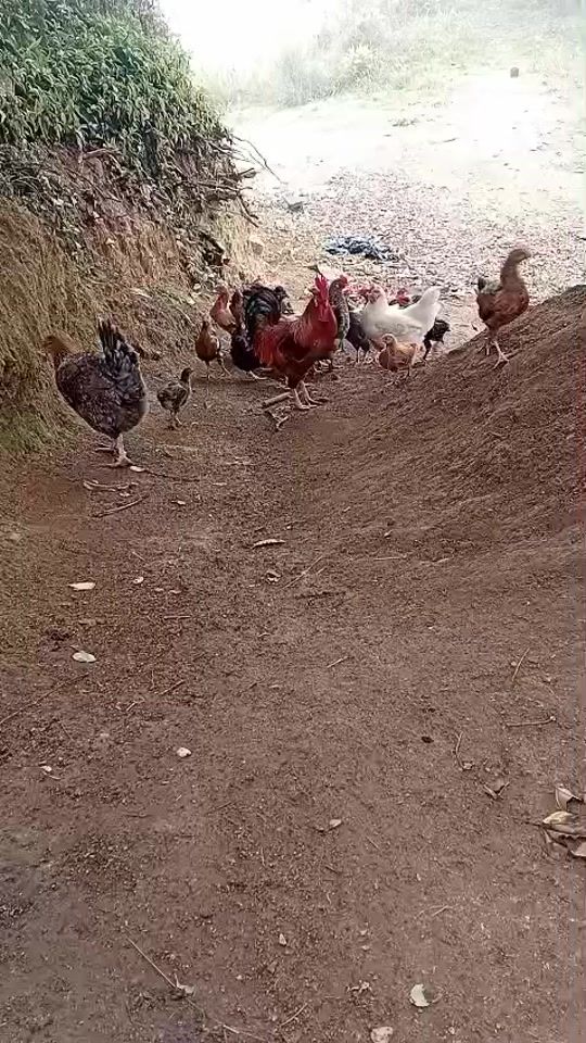 TikTok video thumbnail by 93433865gh