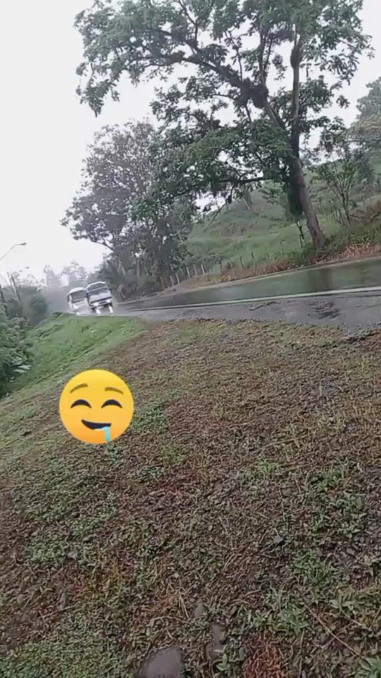 TikTok video thumbnail by dahyah08