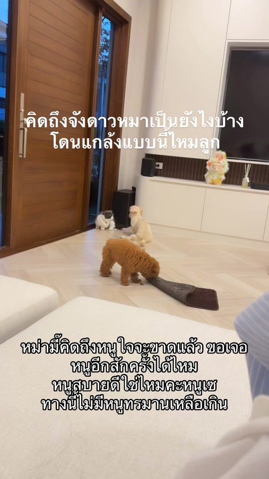 TikTok video thumbnail by muaylookchin1