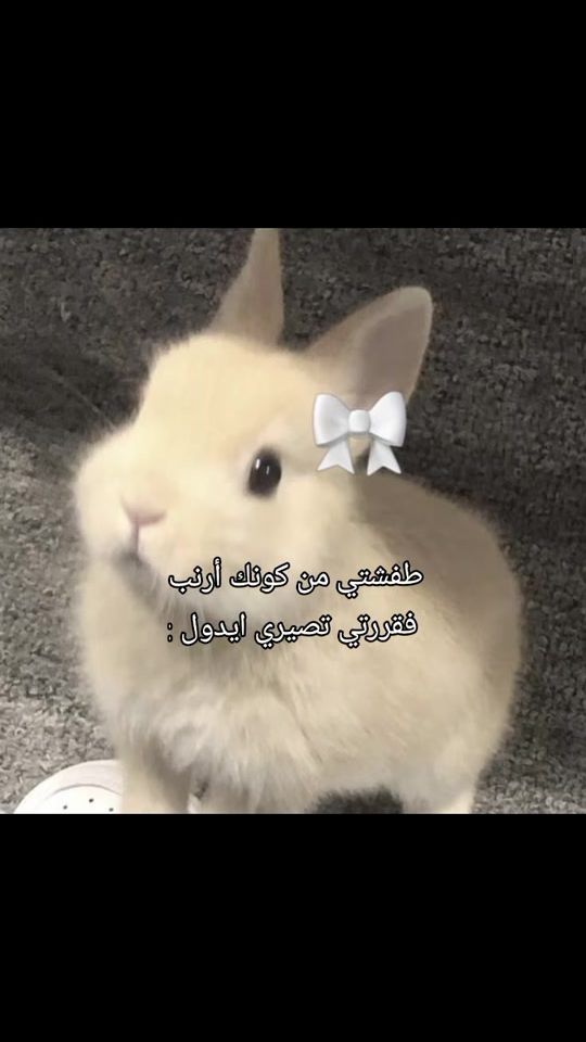 TikTok video thumbnail by si._.yona