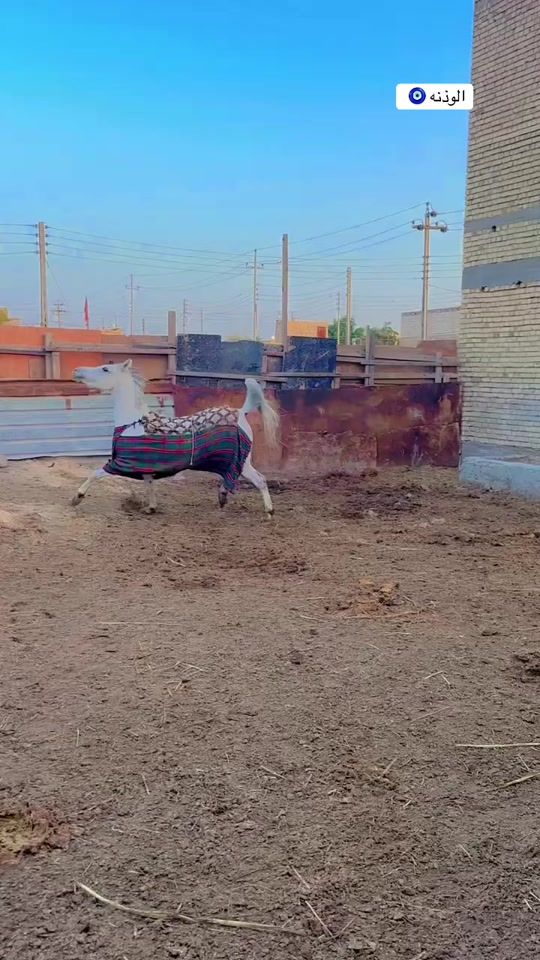 TikTok video thumbnail by za_l1l4