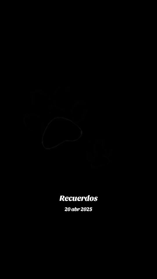 TikTok video thumbnail by luzarrua617