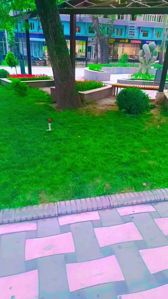TikTok video thumbnail by adibaadiba763