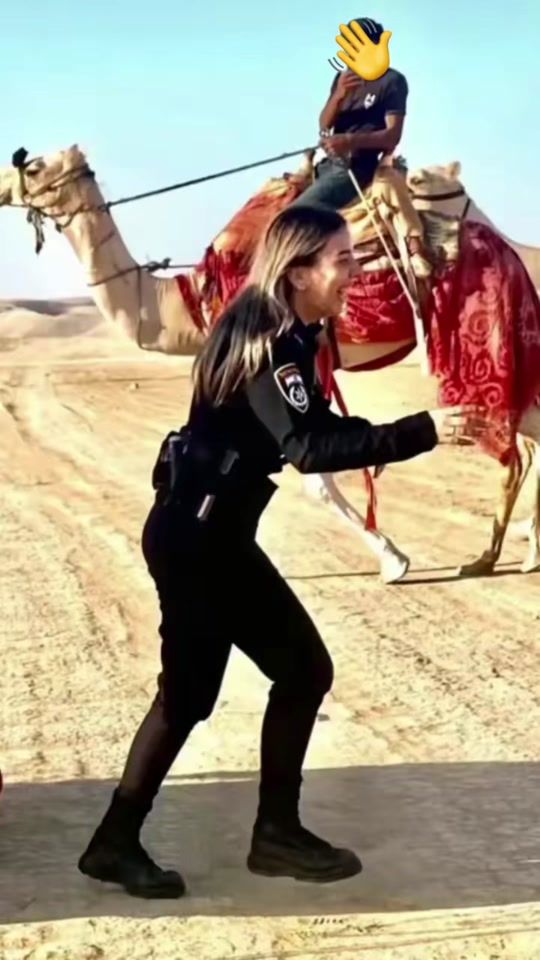 TikTok video thumbnail by bdwe818bdwe1