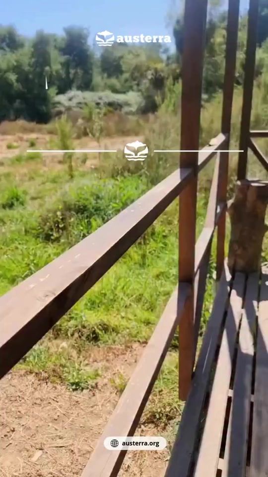 TikTok video thumbnail by austerra_society
