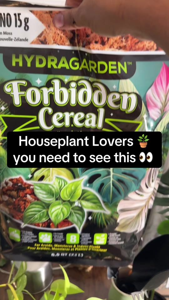 TikTok video thumbnail by forbiddencereal