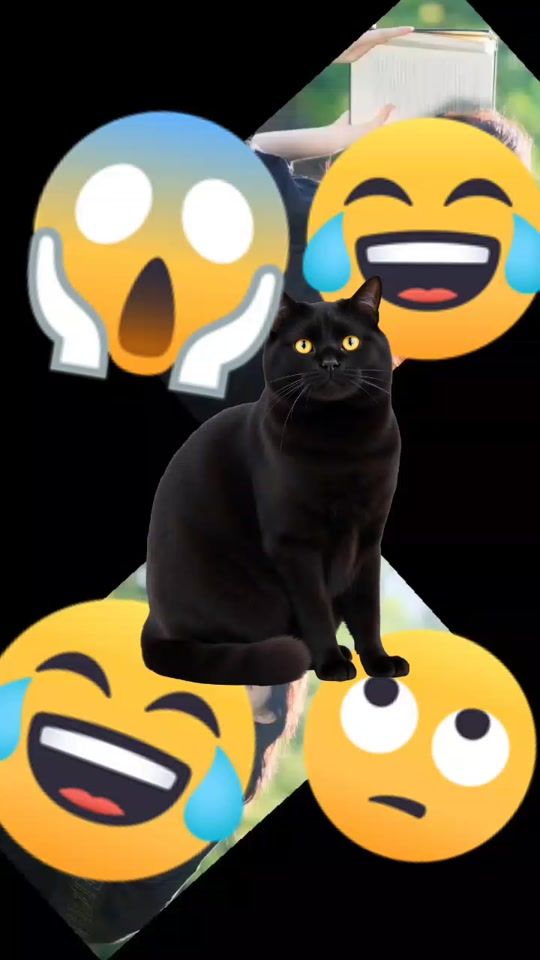 TikTok video thumbnail by toma.abdoulaye