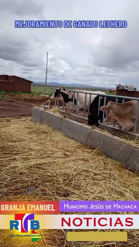 TikTok video thumbnail by rtb_bolivia