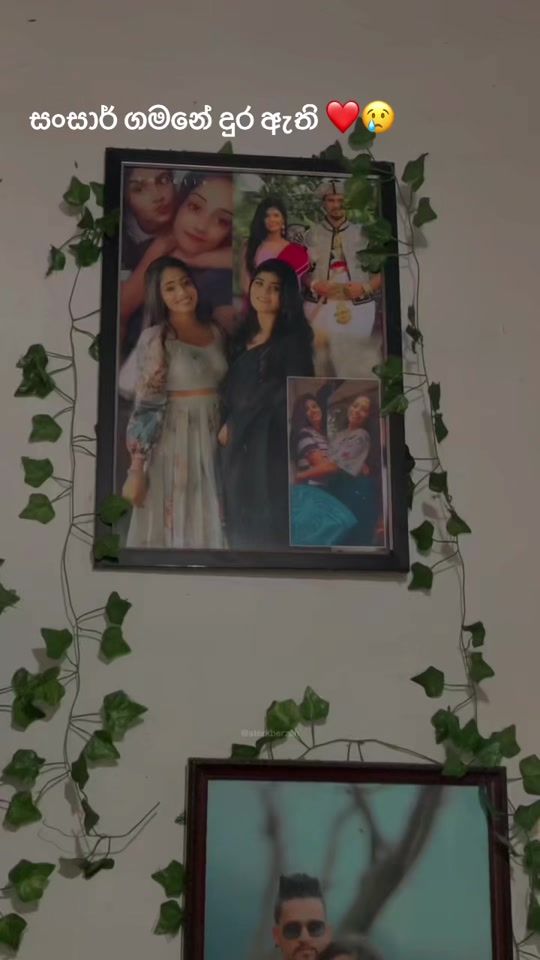 TikTok video thumbnail by .shanika158