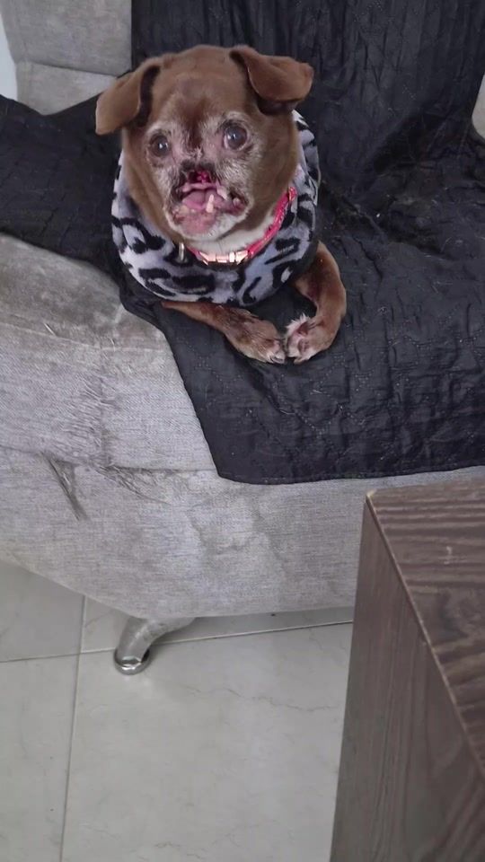 TikTok video thumbnail by rayito501