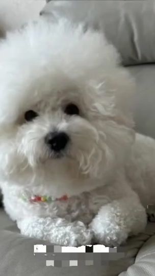 TikTok video thumbnail by na_rang