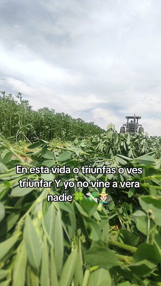 TikTok video thumbnail by leonelru