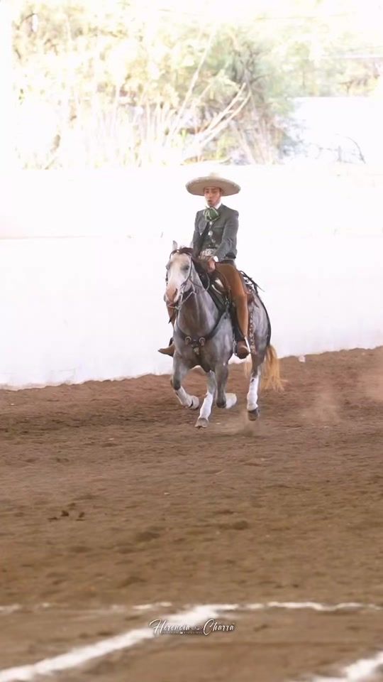 TikTok video thumbnail by rancho_la_cueva