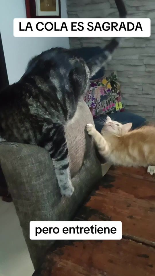 TikTok video thumbnail by andrea.guzmn19