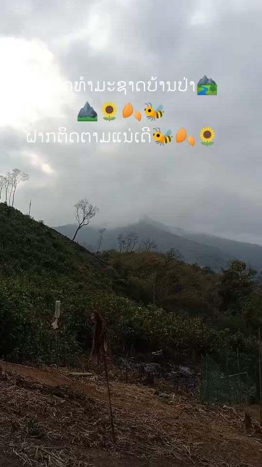 TikTok video thumbnail by minimini1255