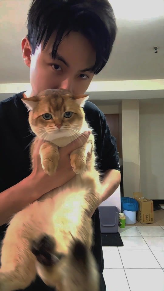 TikTok video thumbnail by quanmax5