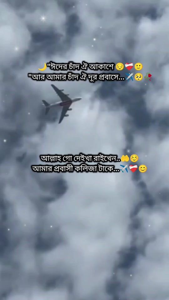 TikTok video thumbnail by user953349316