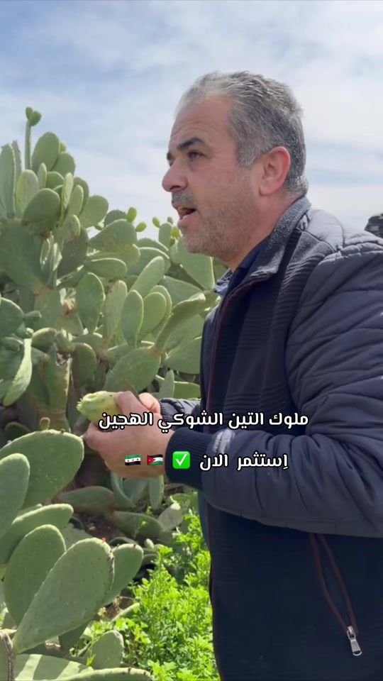TikTok video thumbnail by sha3rda3l1