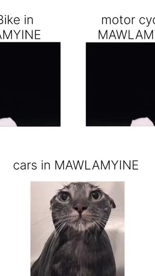 TikTok video thumbnail by kokoeriay