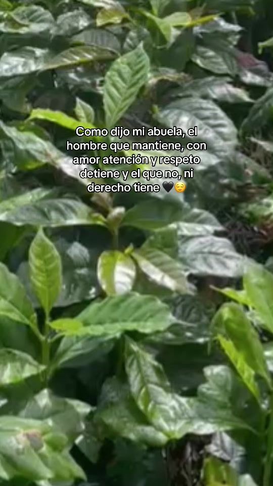 TikTok video thumbnail by murcia.70