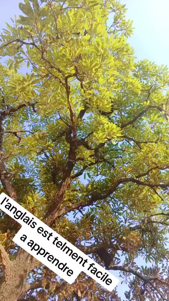 TikTok video thumbnail by majorkona