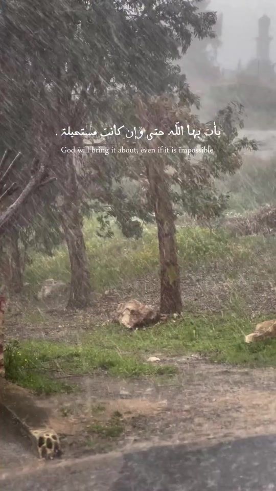 TikTok video thumbnail by nour_altheeb
