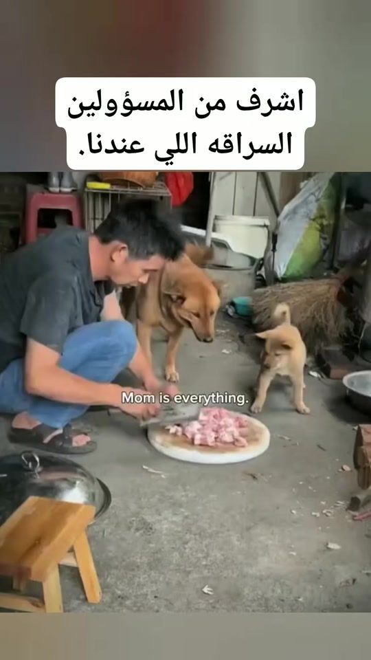 TikTok video thumbnail by ayobabazin89
