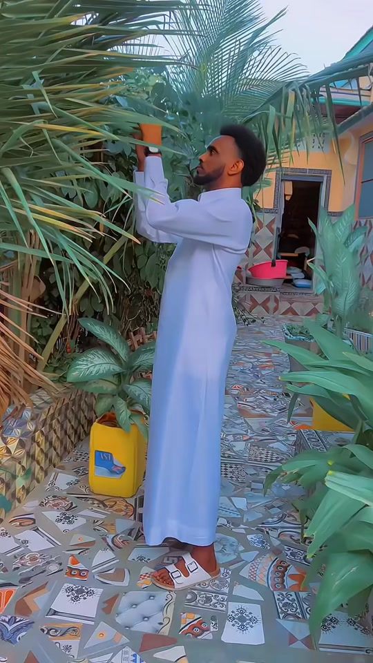 TikTok video thumbnail by dalmar_alpha